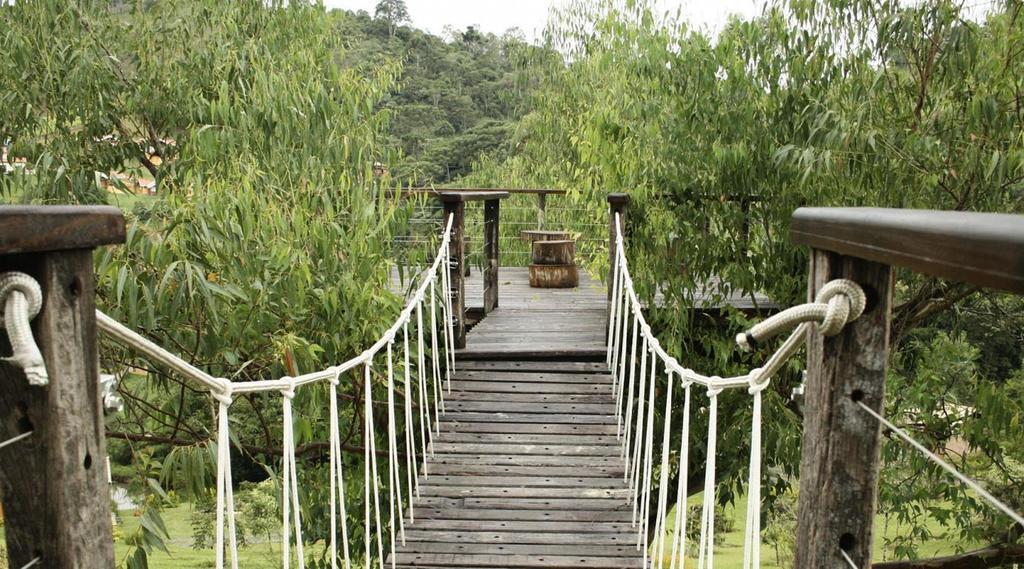 Campestre